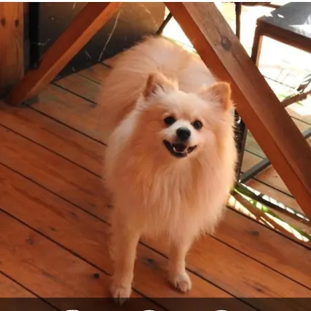 Campsite ла пуеста де соль