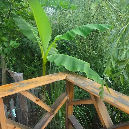 ла пуеста де соль Burgas